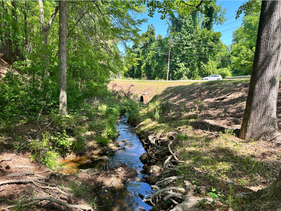 From Storm to Stream: An Introduction to Lillington's Stormwater Utility Program